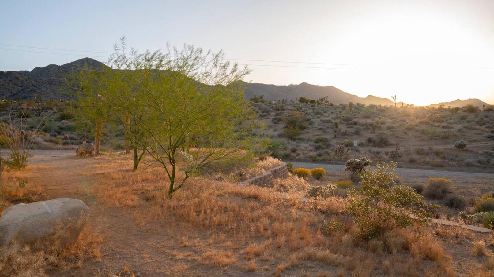 Experience Desert Serenity Gateway To Joshua Tree Exteriér fotografie